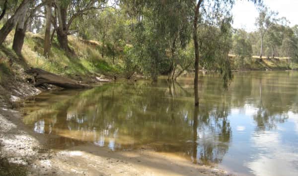 Daunt's Bend, Goulburn River at Toolamba, Victoria