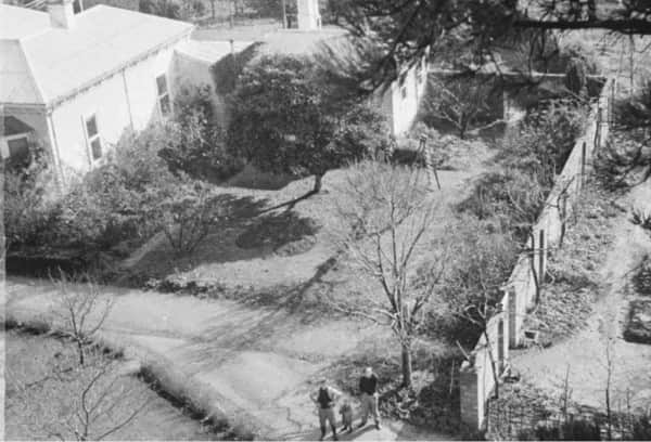 John Reed with Sweeney and Gray Smith near the Heart Garden at Heide, c. 1949, photographer John Sinclair, SLV