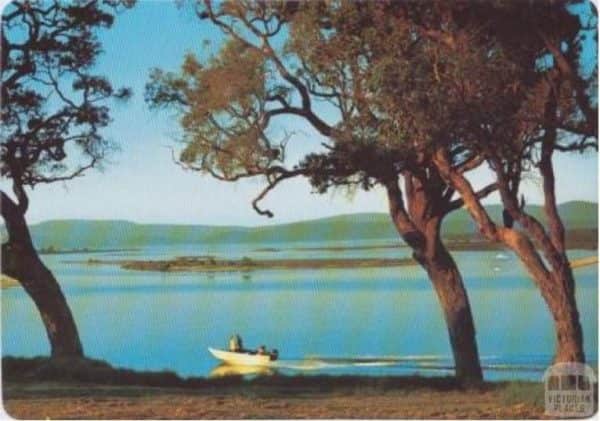 Abalone fishing boat returning to Mallacoota wharf, c 1960s-70s. Murrays Views postcard