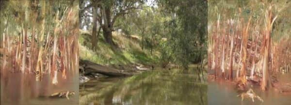 Panels 2 and 3 of Nolan's “Riverbend" bookend a photo of Daunt’s Bend, Toolamba on the Goulburn River where Nolan fished with his father.